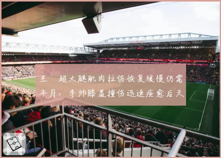 王燊超大腿肌肉拉伤恢复缓慢仍需半月，李帅膝盖撞伤迅速痊愈后天可战，海港边卫伤病康复效率差异巨大